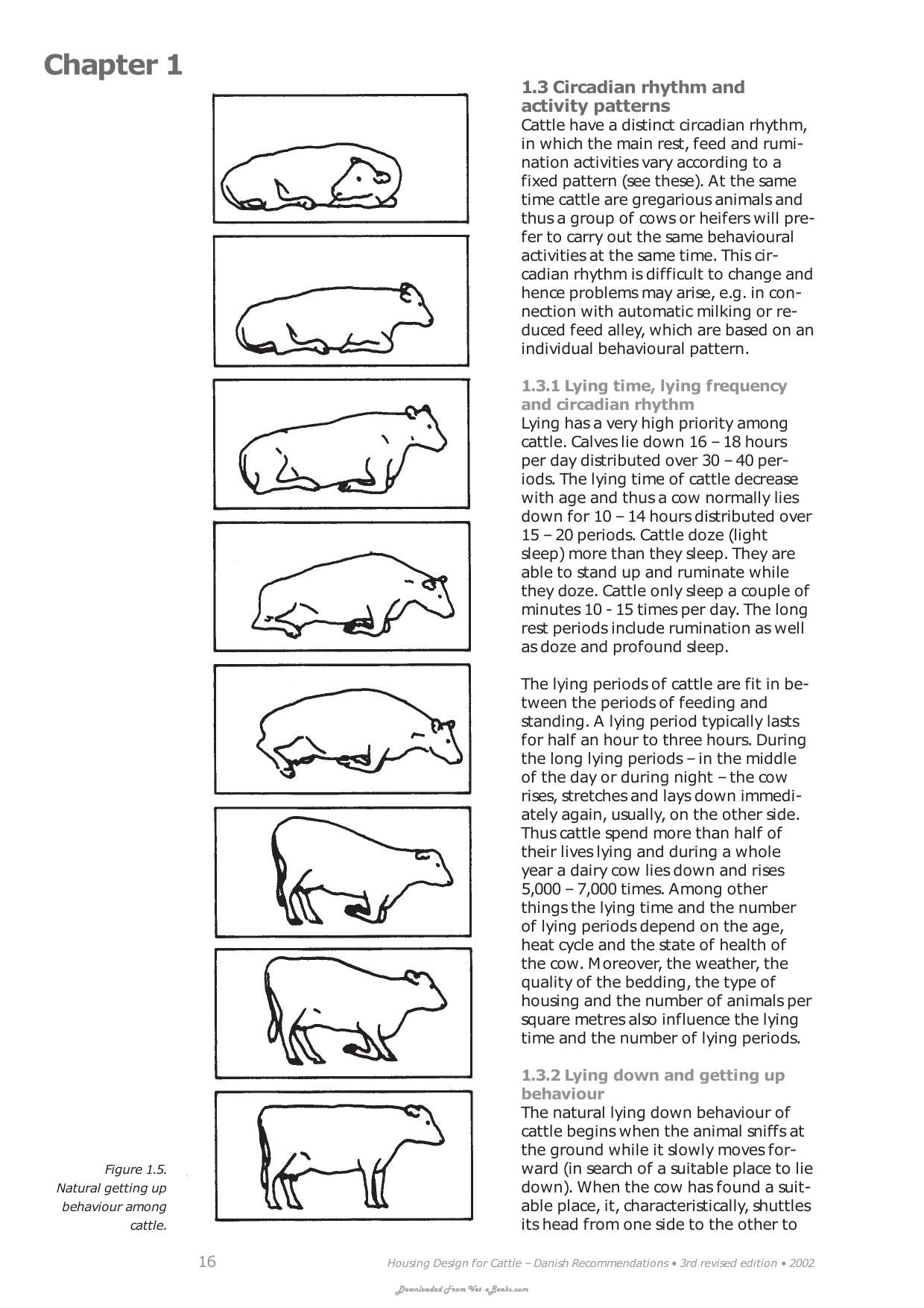 Housing Design For Cattle Danish Recommendations