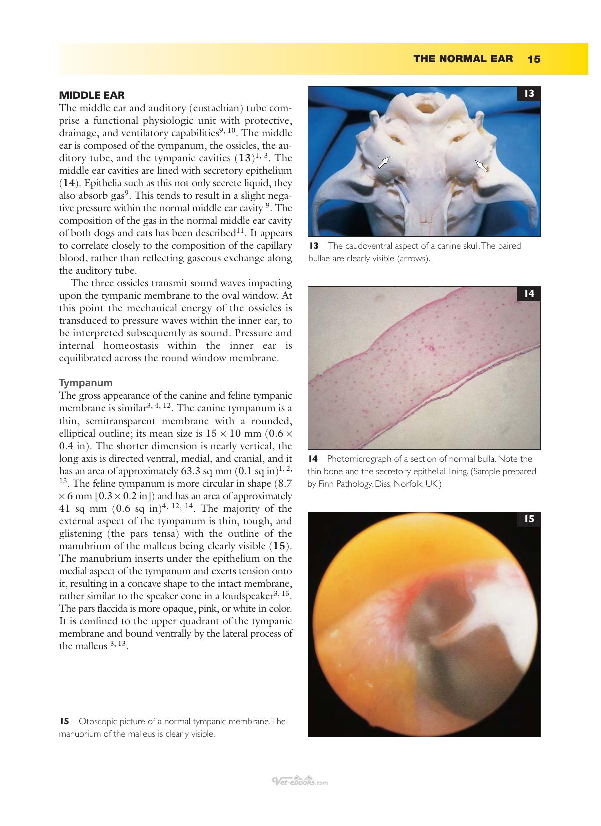 Ear Diseases Of The Dog And Cat