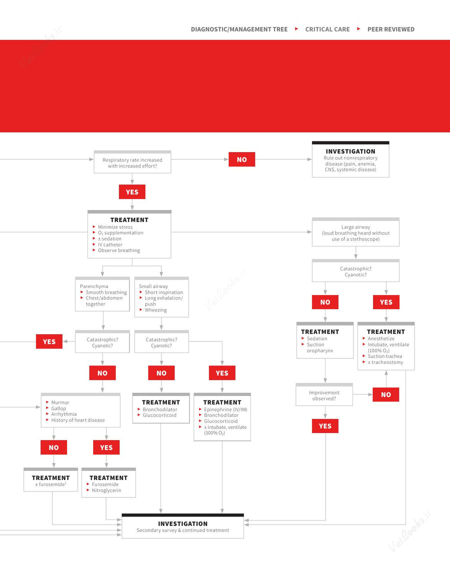 Preview page of Clinician's Brief Algorithms to Guide Your Diagnosis and Treatment
