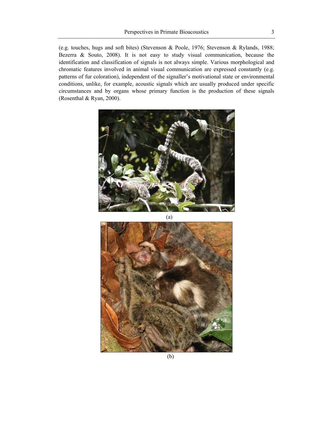 Primatology Theories Methods And Research