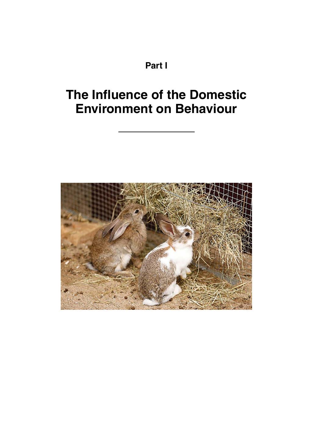 Companion Animal Behaviour Problems