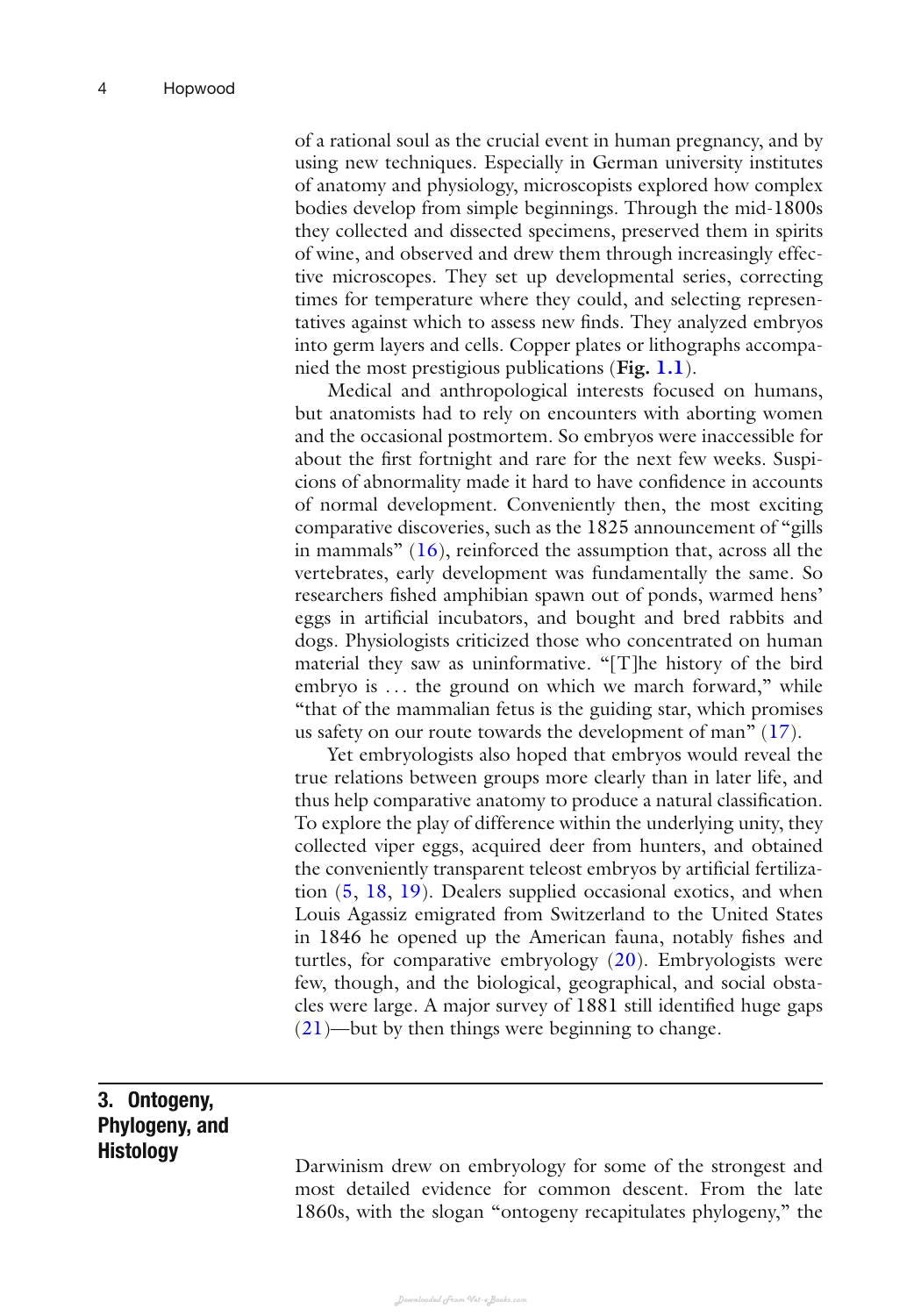 Vertebrate Embryogenesis Embryological Cellular And Genetic Methods