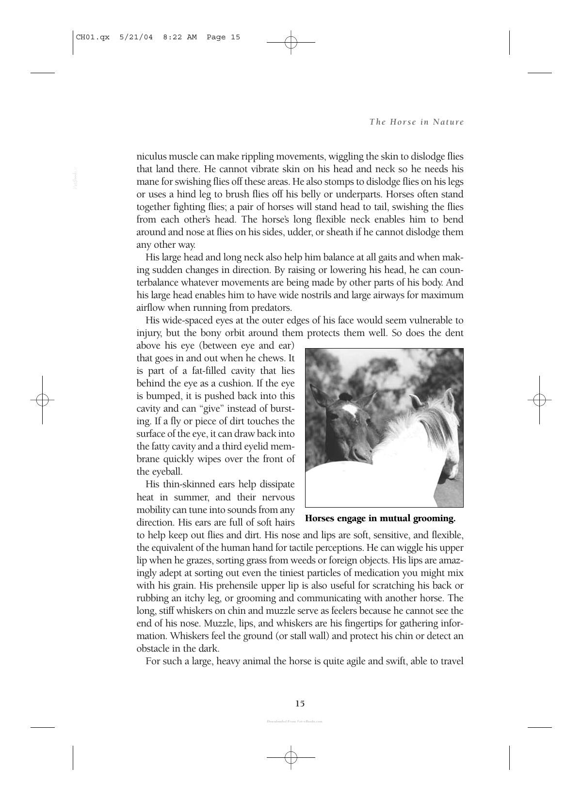 Care And Management Of Horses A Practical Guide For The Horse Owner
