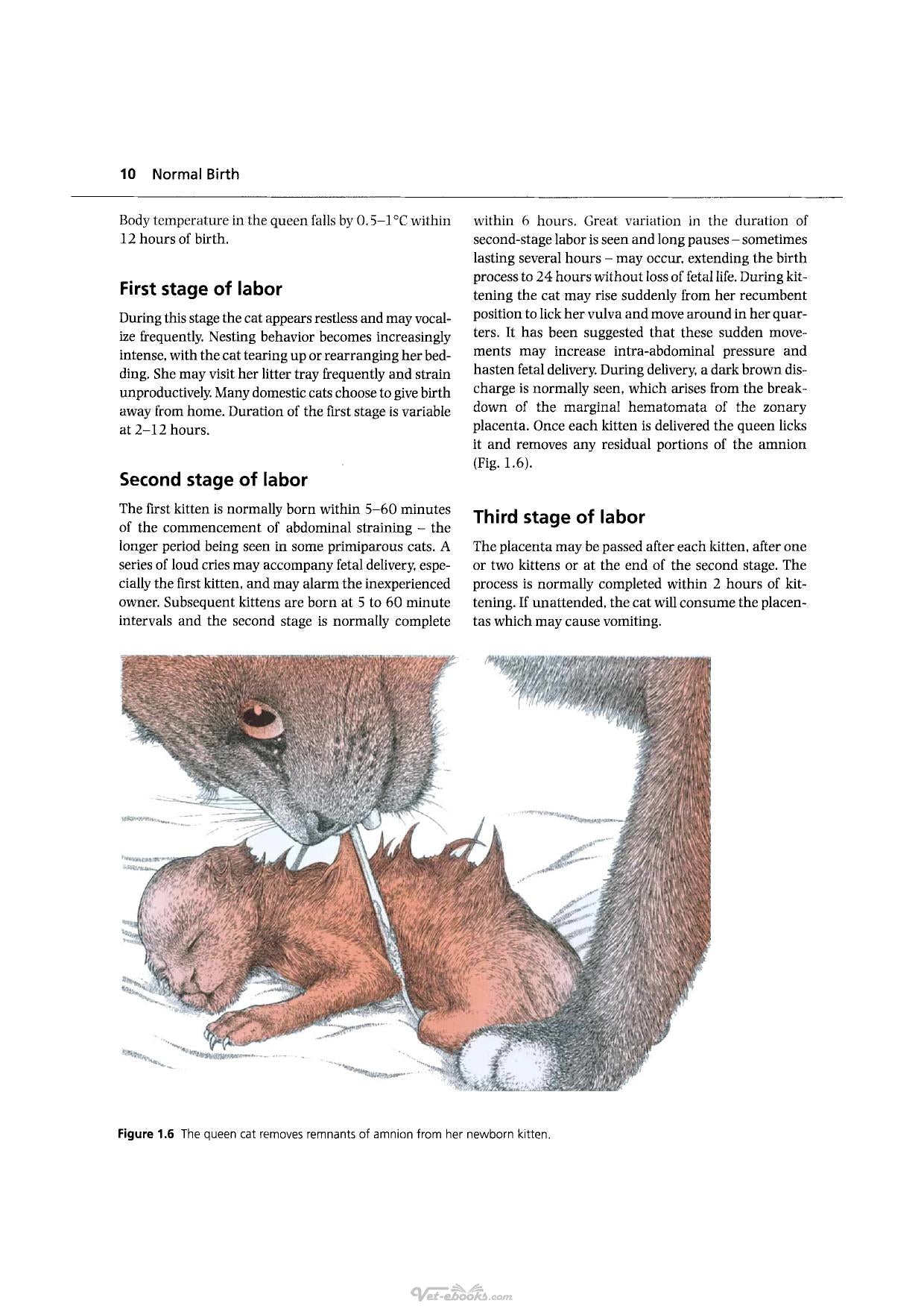 Handbook Of Veterinary Obstetrics 2Nd Edition