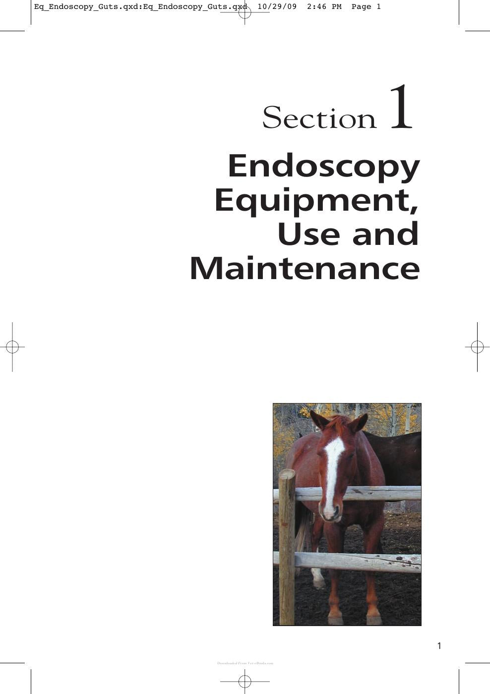 Equine Endoscopy And Arthroscopy For The Equine Practitioner