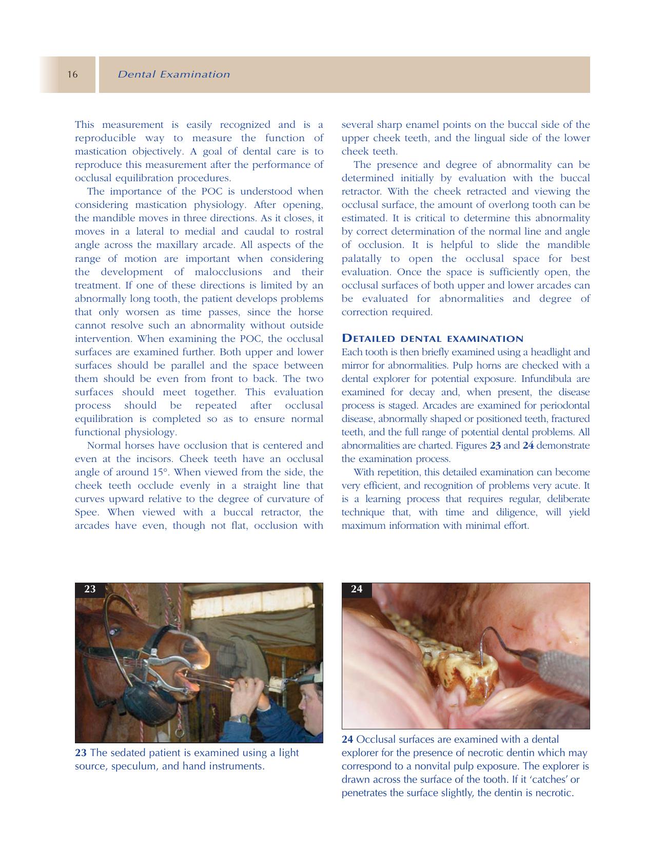 Principles Of Equine Dentistry