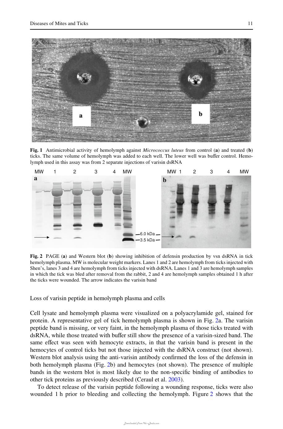 Diseases Of Mites And Ticks