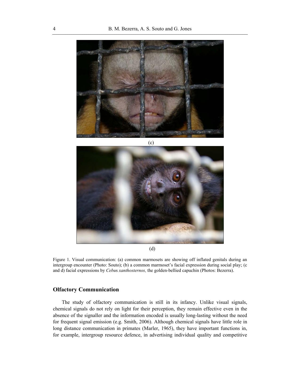 Primatology Theories Methods And Research