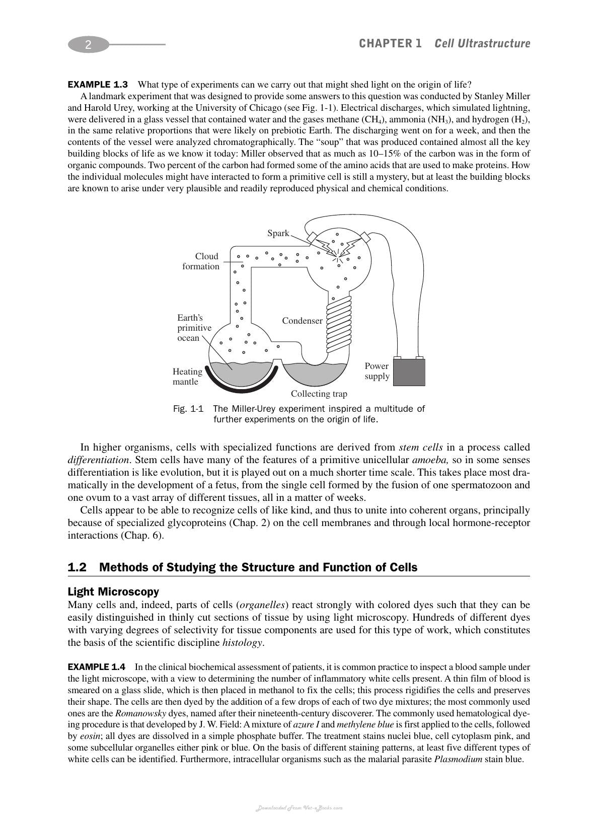 Schaums Outline Of Biochemistry 3Rd Edition