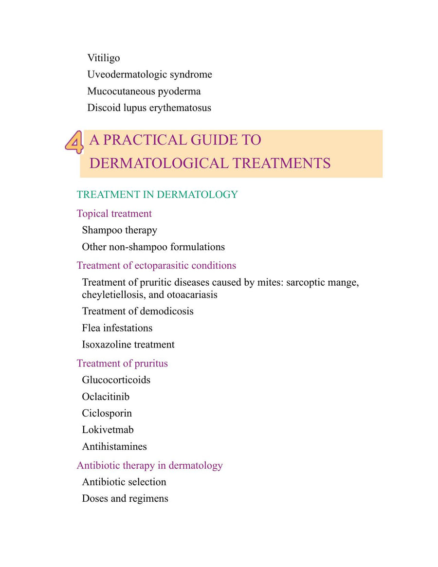 Preview page of Looking for Success in Dermatology Consultations, Diagnostic Protocol for Skin Disorders