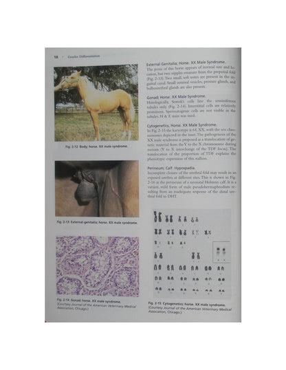 Color Atlas of Reproductive Pathology of Domestic Animals