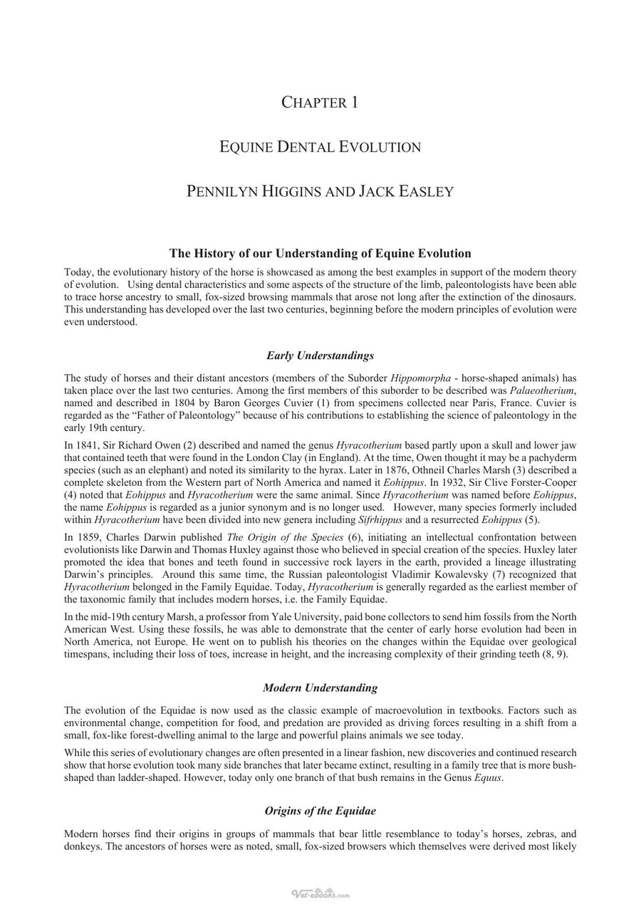 Preview page of Equine Dentistry and Maxillofacial Surgery