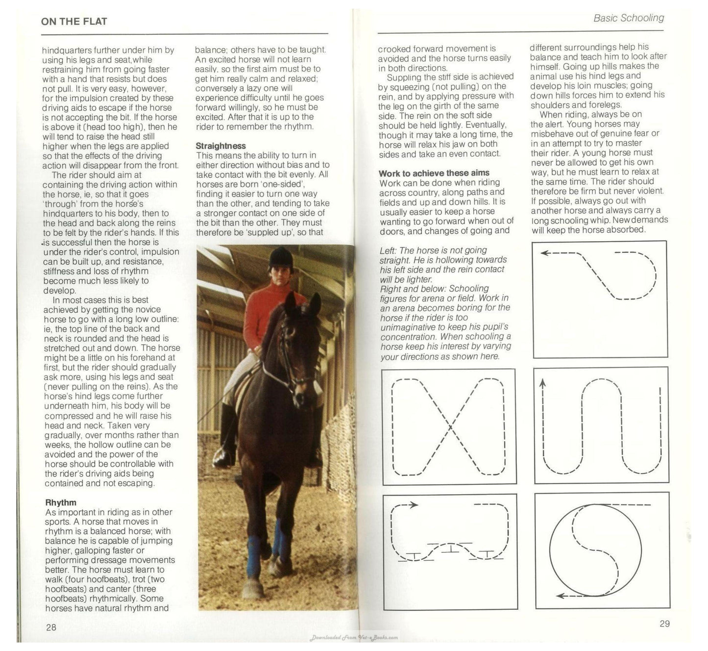 Young Riders Guide To Horse And Pony Care