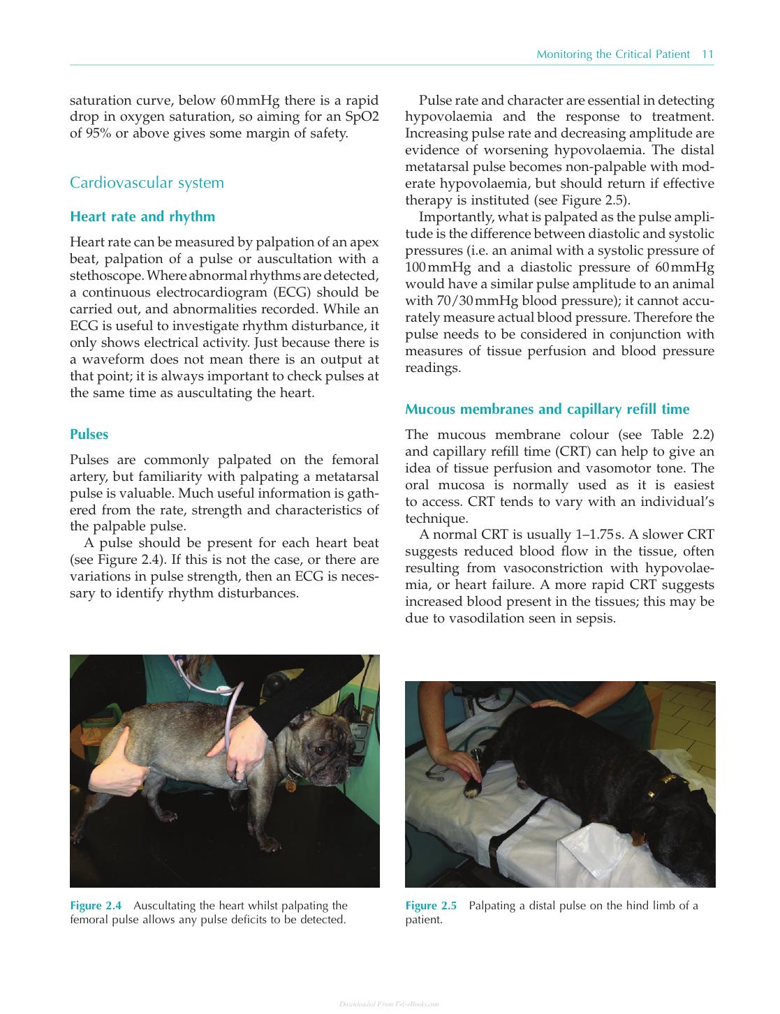 Practical Emergency And Critical Care Veterinary Nursing