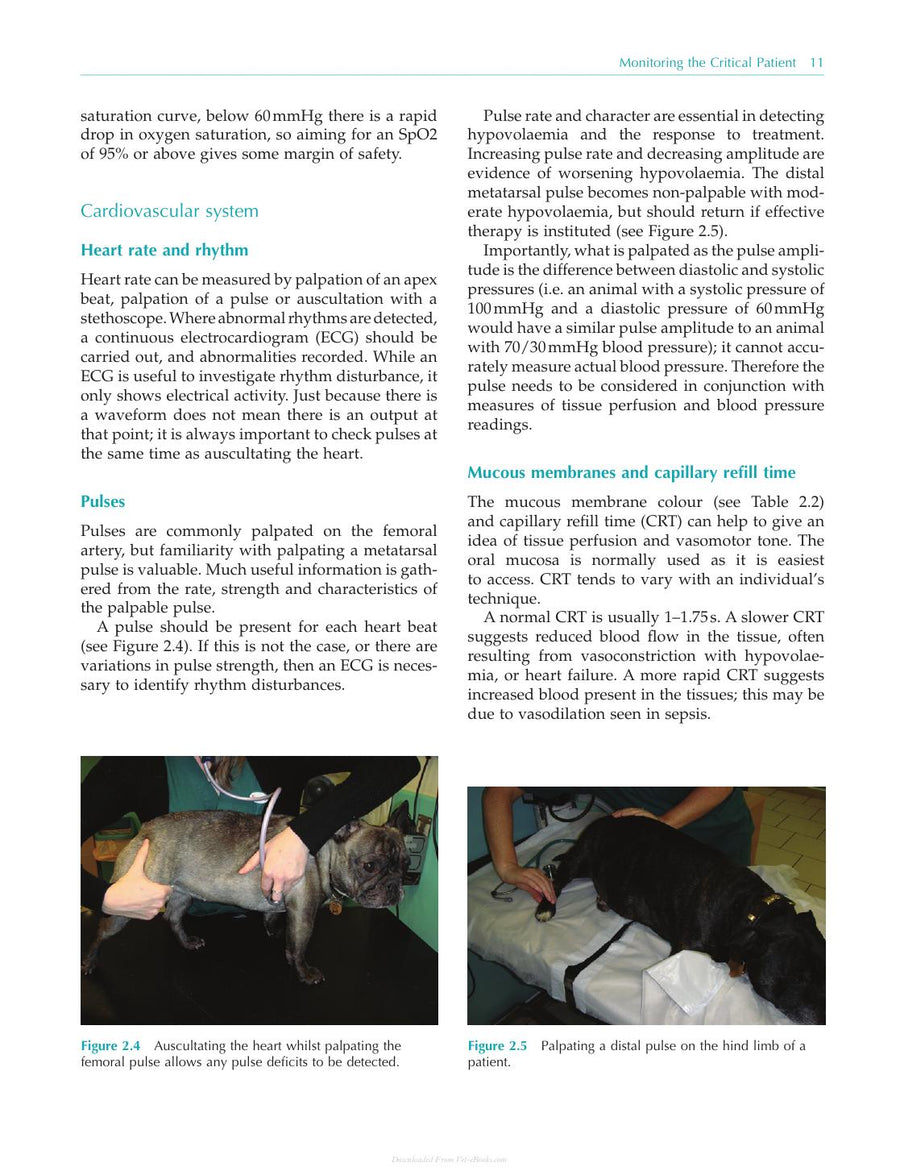 Preview page of Practical Emergency and Critical Care Veterinary Nursing