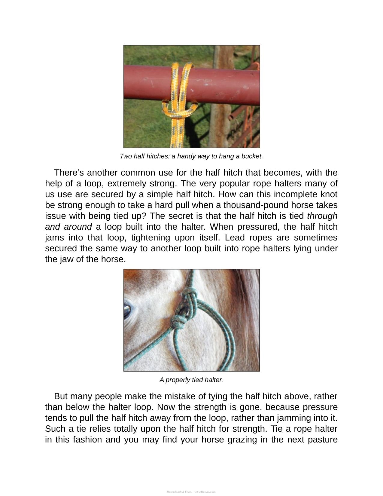 Look inside — page 17