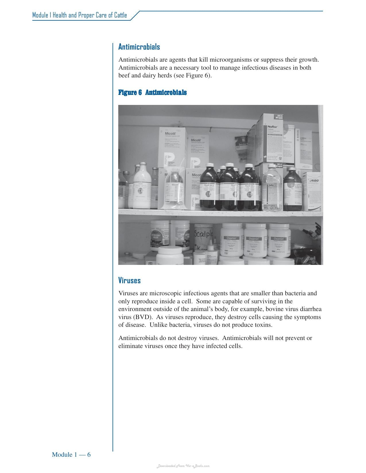 Cattle Medicine Responsible Use Course