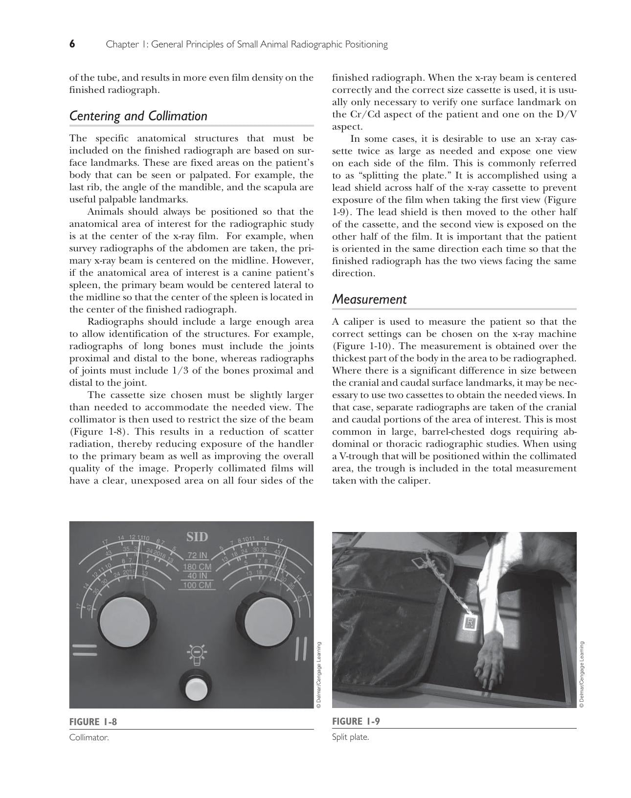 Handbook Of Radiographic Positioning For Veterinary Technicians