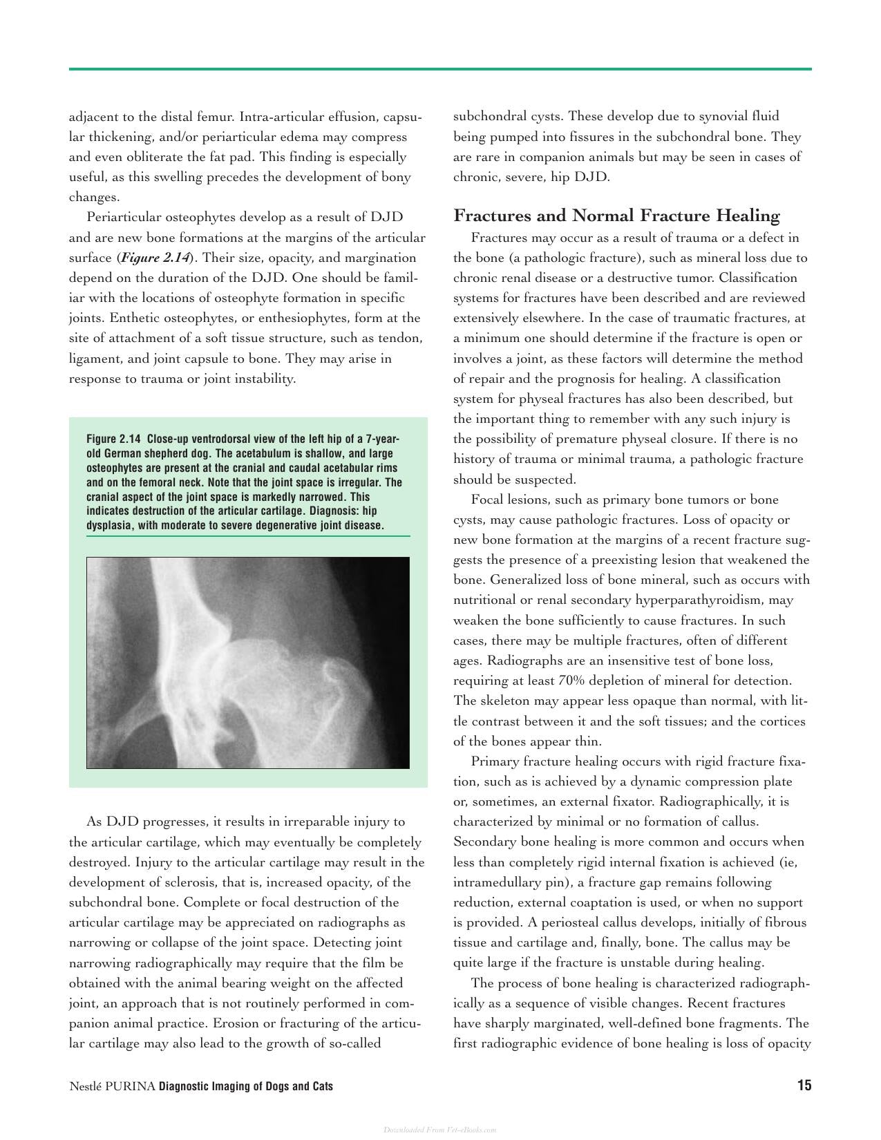Diagnostic Imaging Of Dogs And Cats