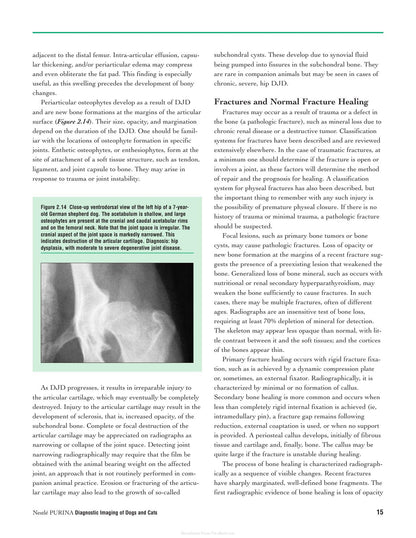 Diagnostic Imaging of Dogs and Cats