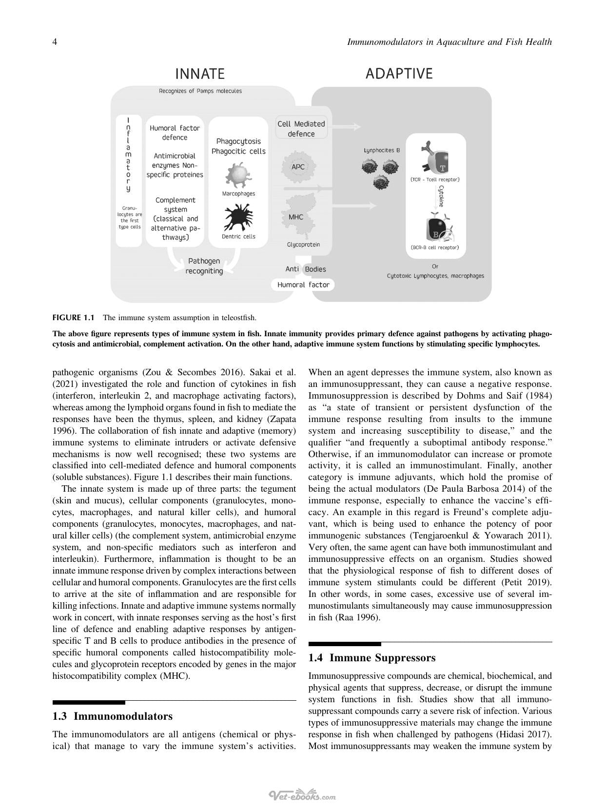 Immunomodulators In Aquaculture And Fish Health