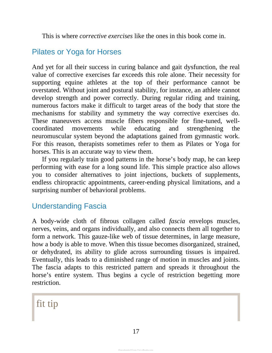 Preview page of 55 Corrective Exercises for Horses Resolving Postural Problems Improving Movement Patterns and Preventing Injury