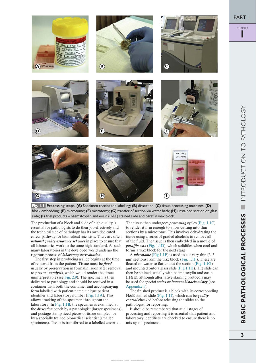 Preview page of Wheater’s Pathology: A Text, Atlas and Review of Histopathology, 6th Edition