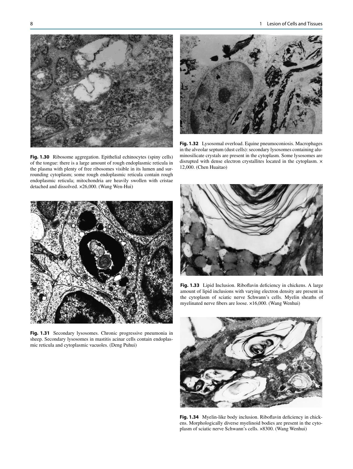 Look inside — page 17