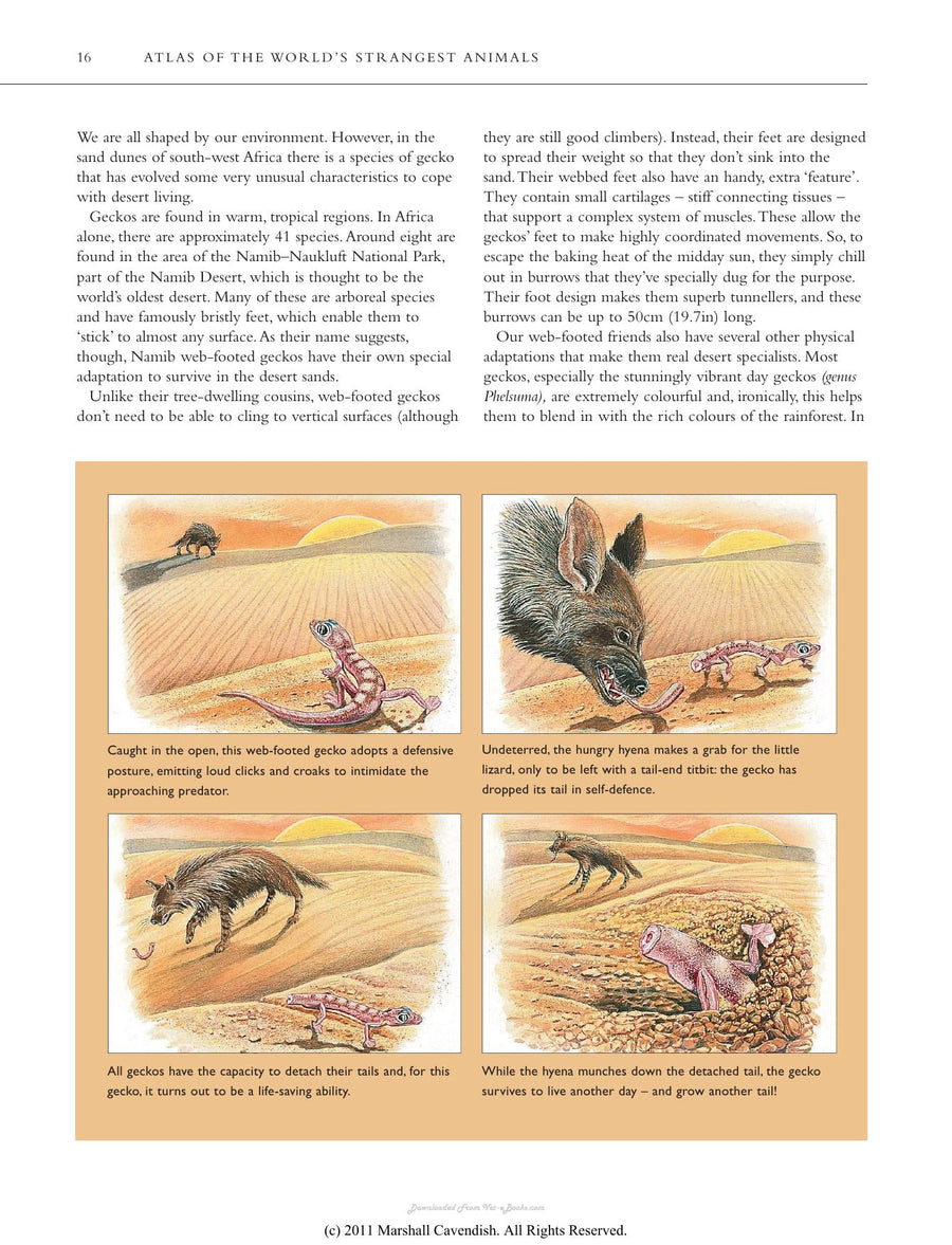 Preview page of Atlas of the World's Strangest Animals