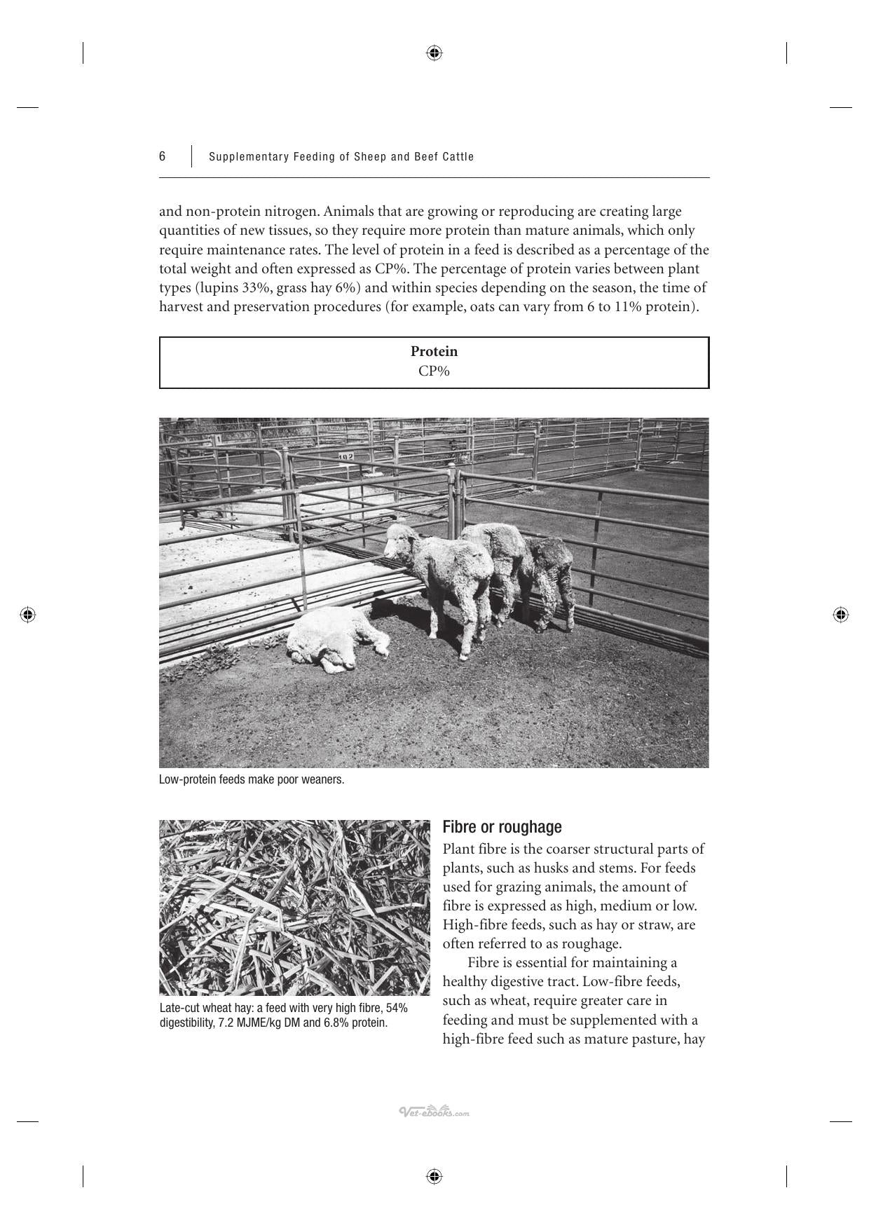 Supplementary Feeding Of Sheep And Beef Cattle 2Nd Edition