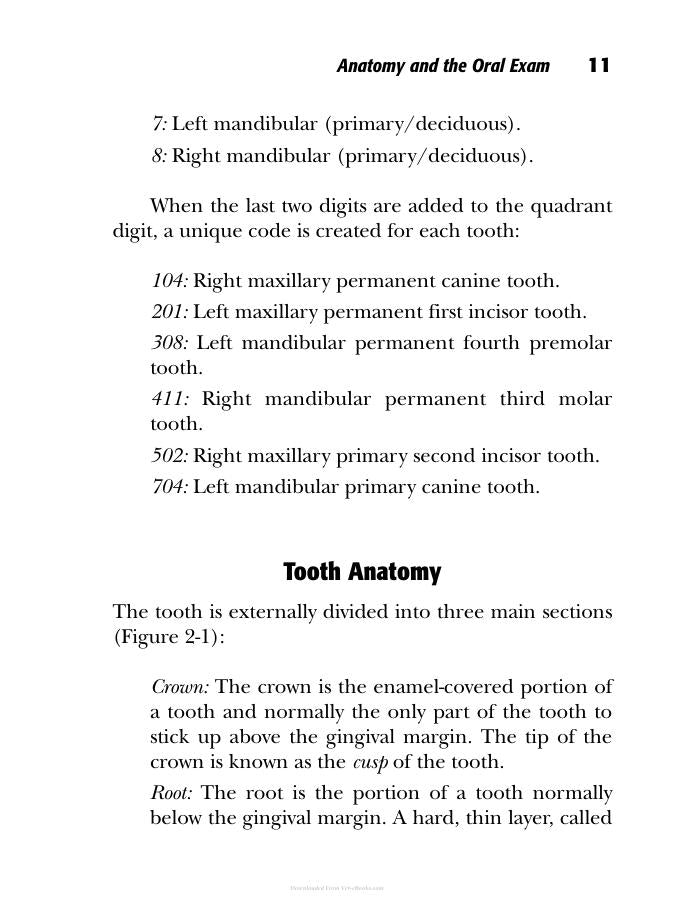 Small Animal Dentistry The Practical Veterinarian