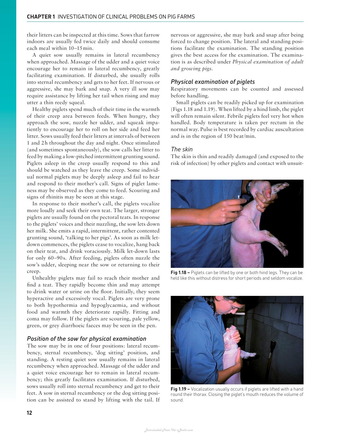 Handbook Of Pig Medicine