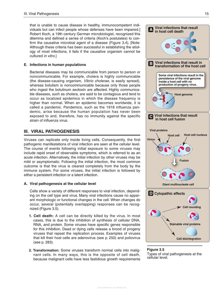 Preview page of Lippincotts Illustrated Reviews Microbiology 3rd Edition