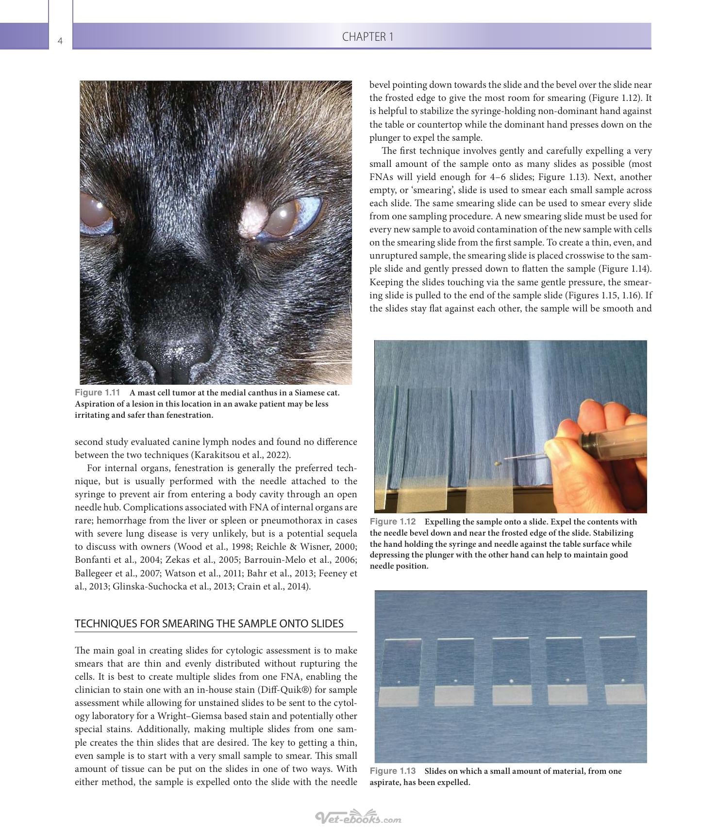 Look inside — page 17