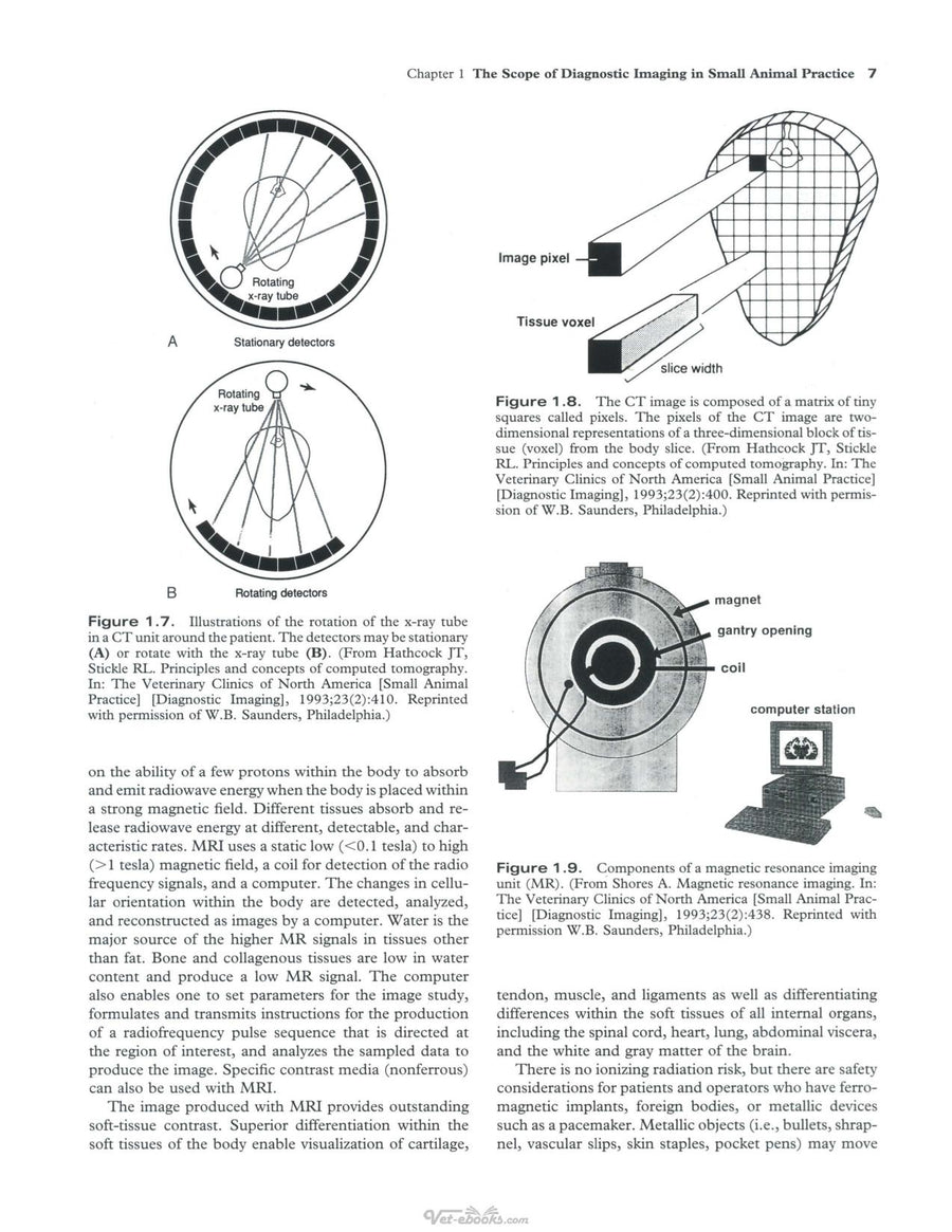 Preview page of Radiographic Interpretation for the Small Animal Clinician 2nd Edition