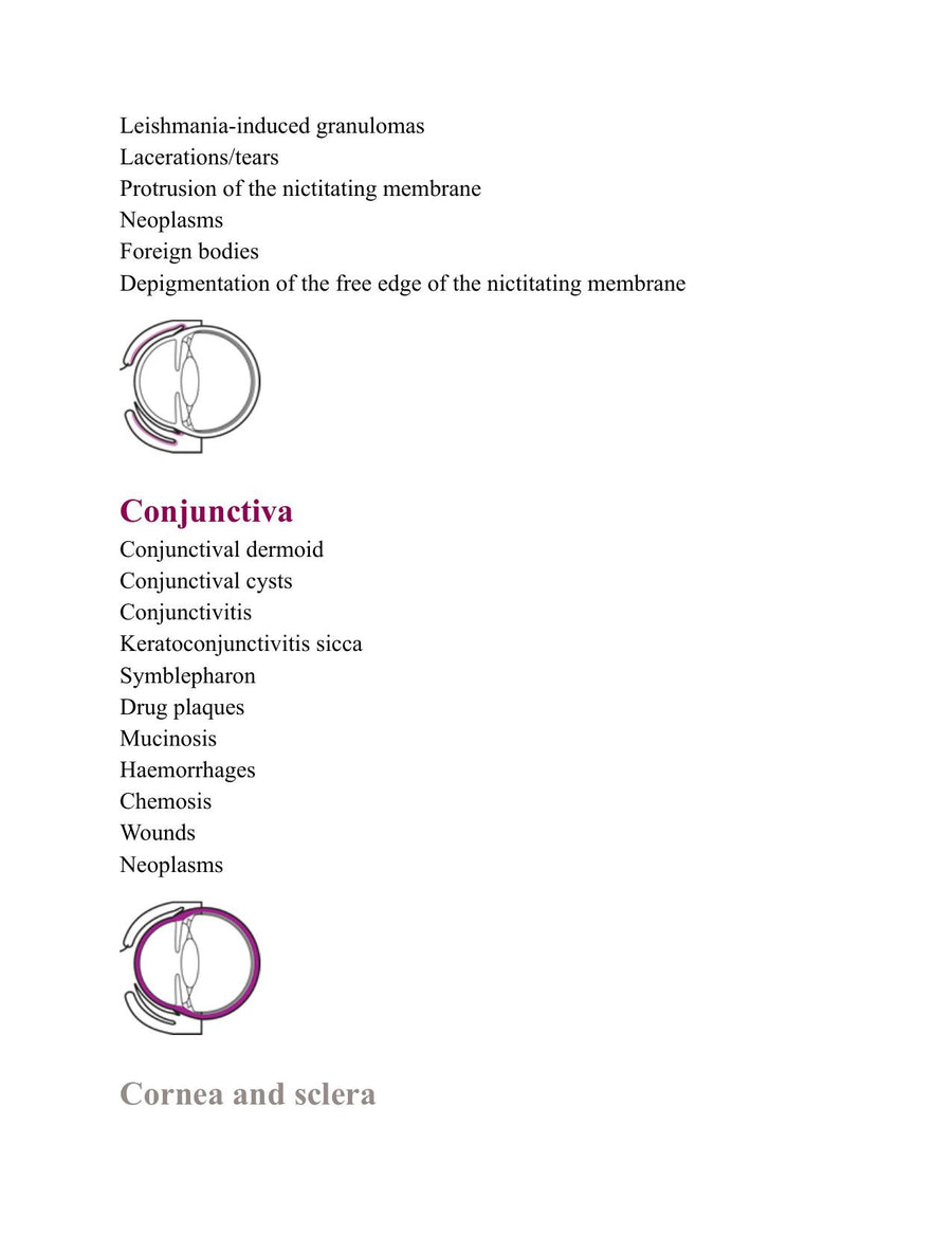 Preview page of Quick Guidebook to Canine and Feline Ophthalmology 2nd Edition