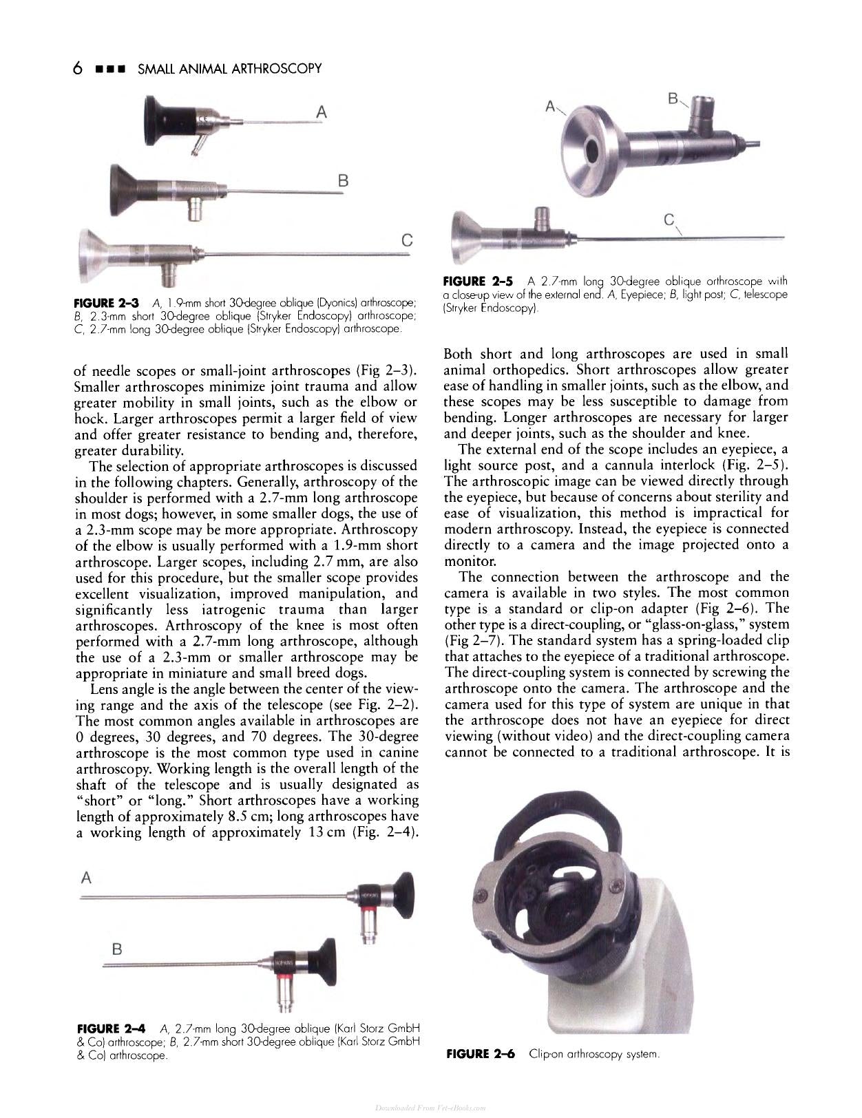Small Animal Arthroscopy