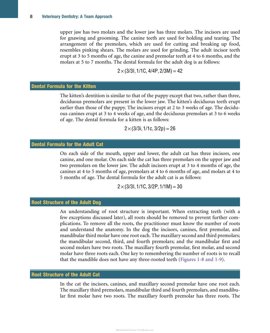 Preview page of Veterinary Dentistry a Team Approach 2nd Edition