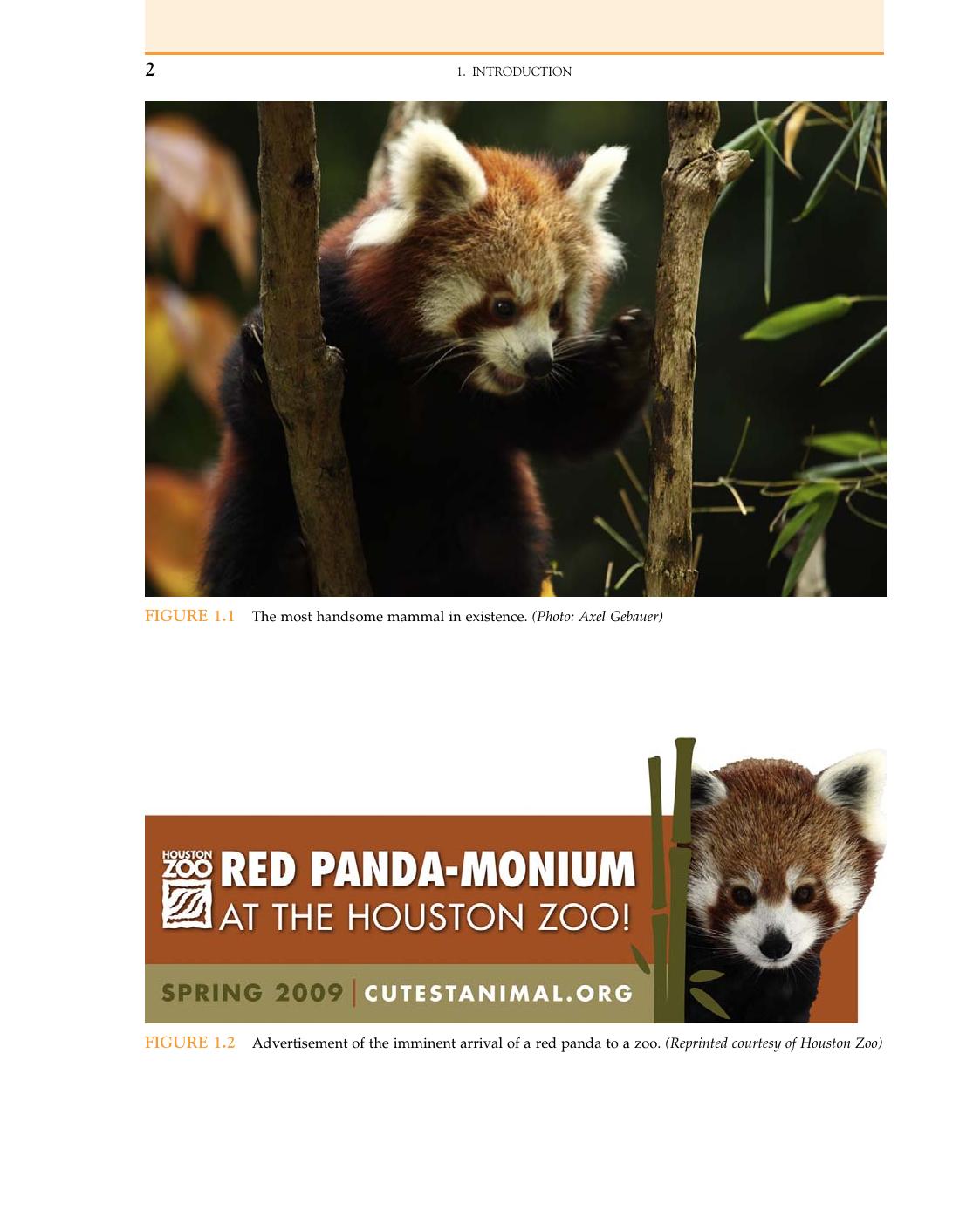 Red Panda Biology And Conservation Of The First Panda