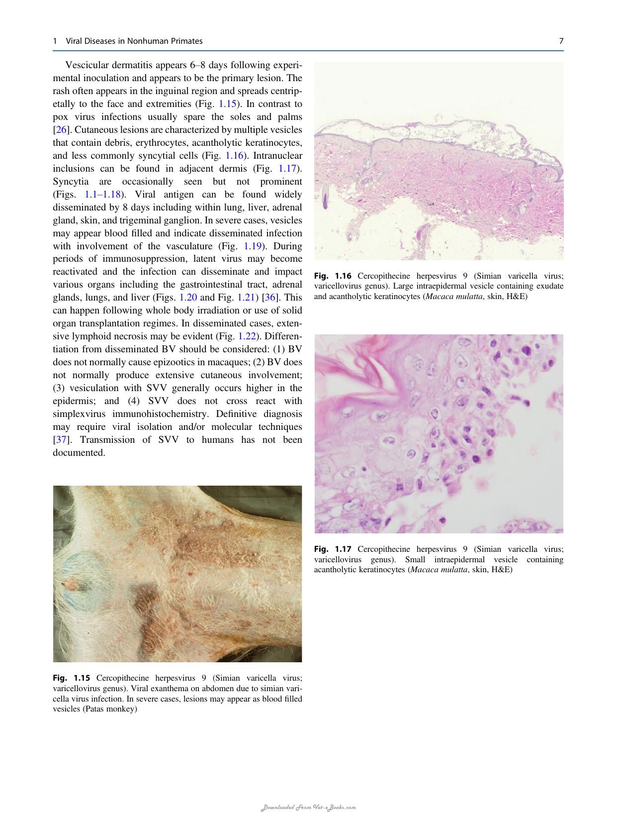 Atlas Of Diagnostic Pathology In Nonhuman Primates