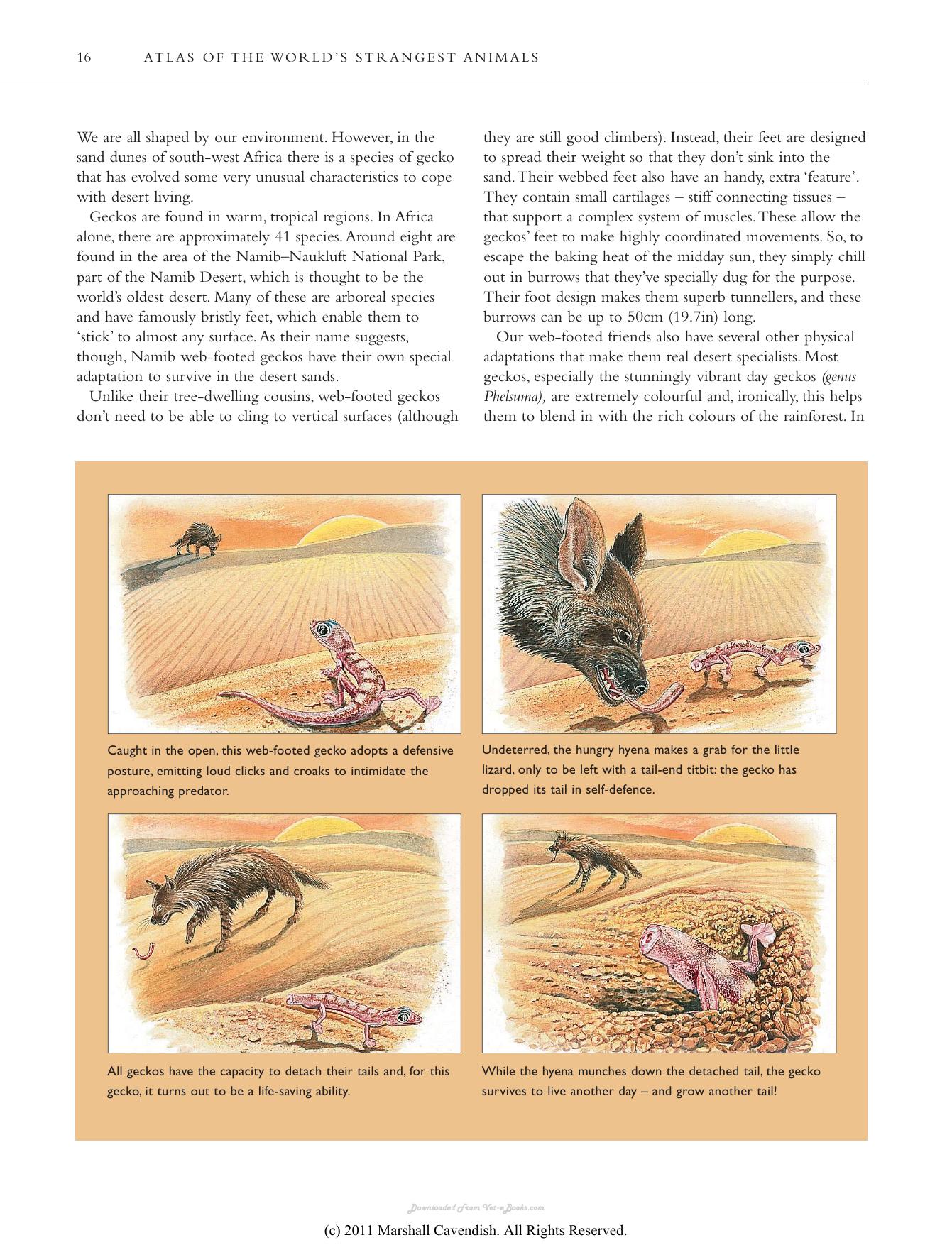 Atlas Of The Worlds Strangest Animals