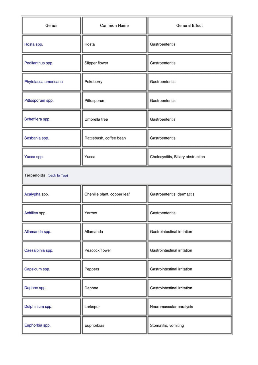 Preview page of A Guide to Poisonous House and Garden Plants