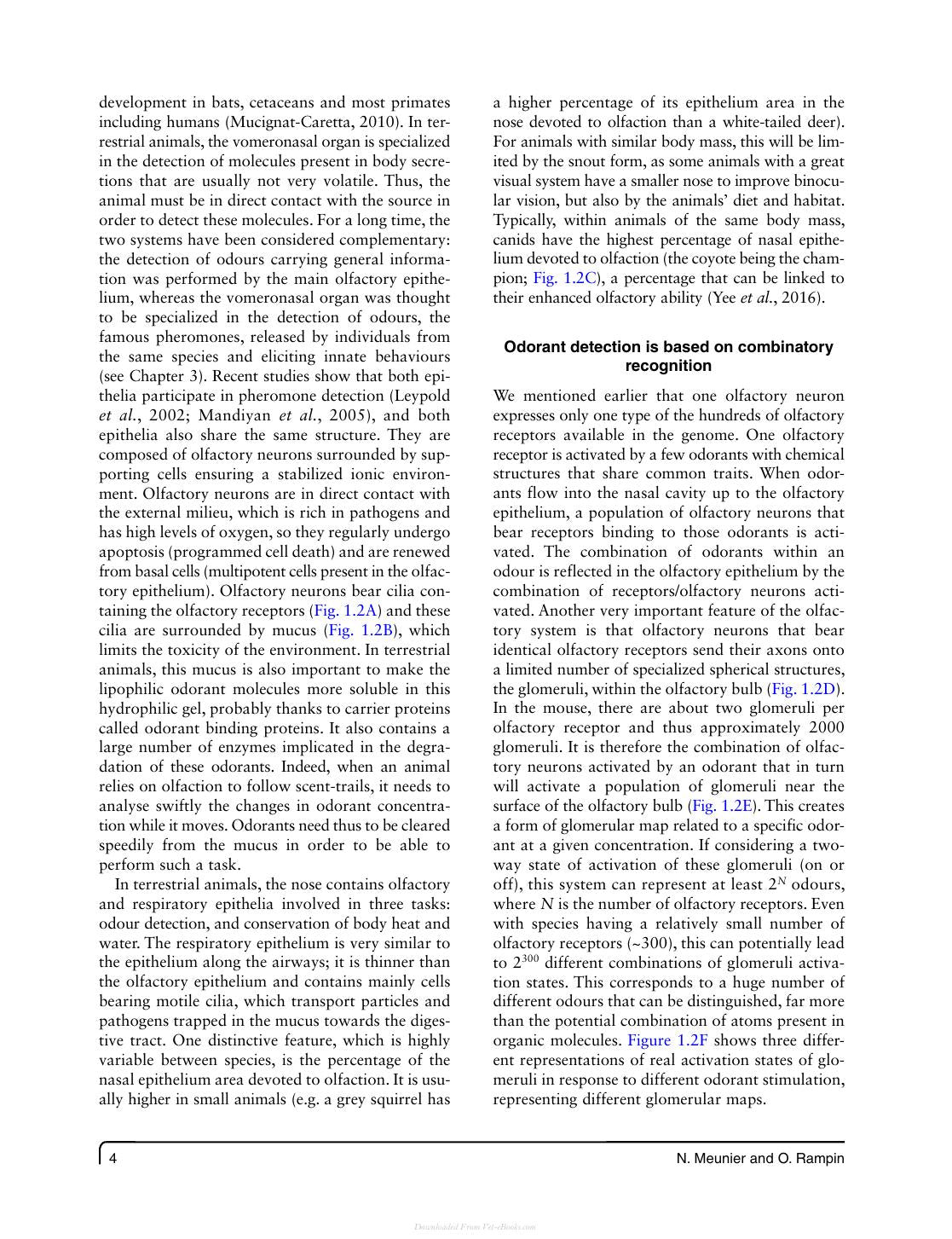 Olfaction In Animal Behaviour And Welfare