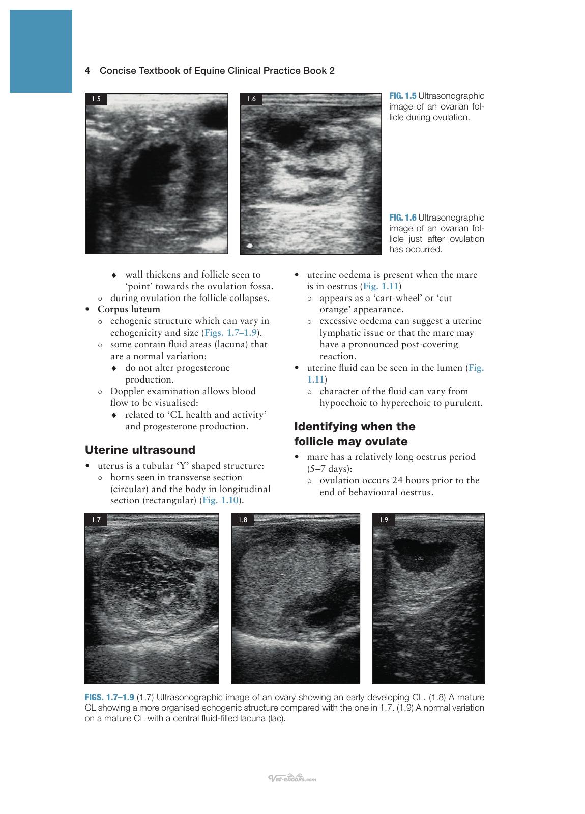 Concise Textbook Of Equine Clinical Practice Book 2 Reproduction And The Foal