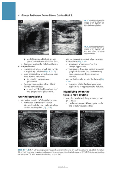 Concise Textbook of Equine Clinical Practice Book 2 Reproduction and the Foal