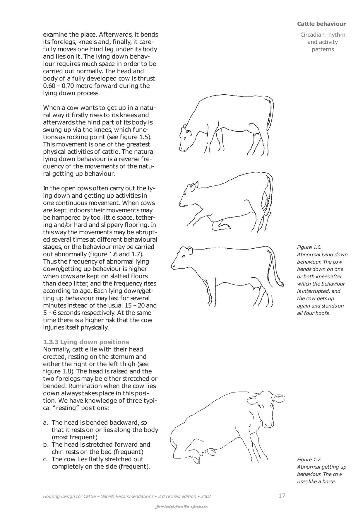 Housing Design For Cattle Danish Recommendations