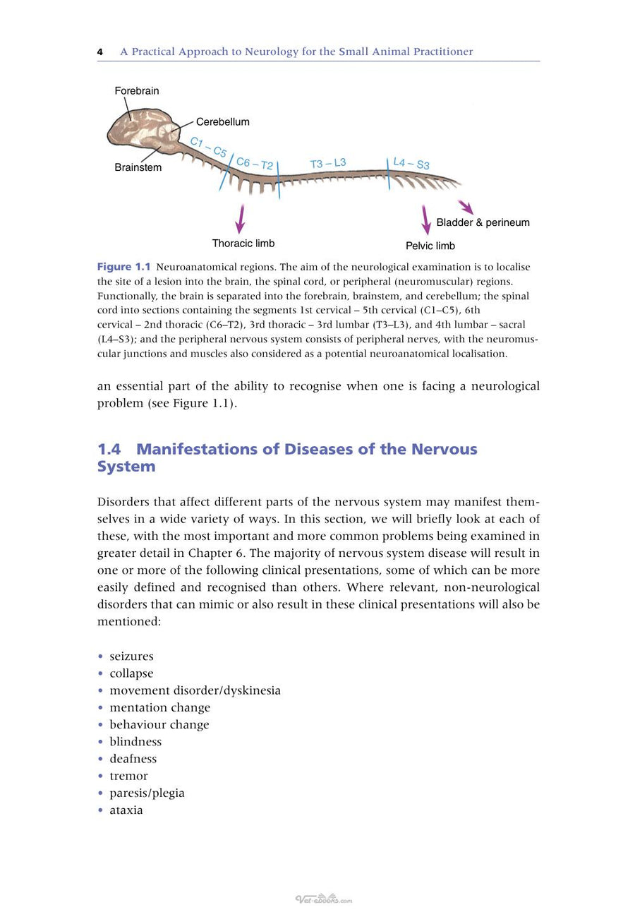 Preview page of A Practical Approach to Neurology for the Small Animal Practitioner