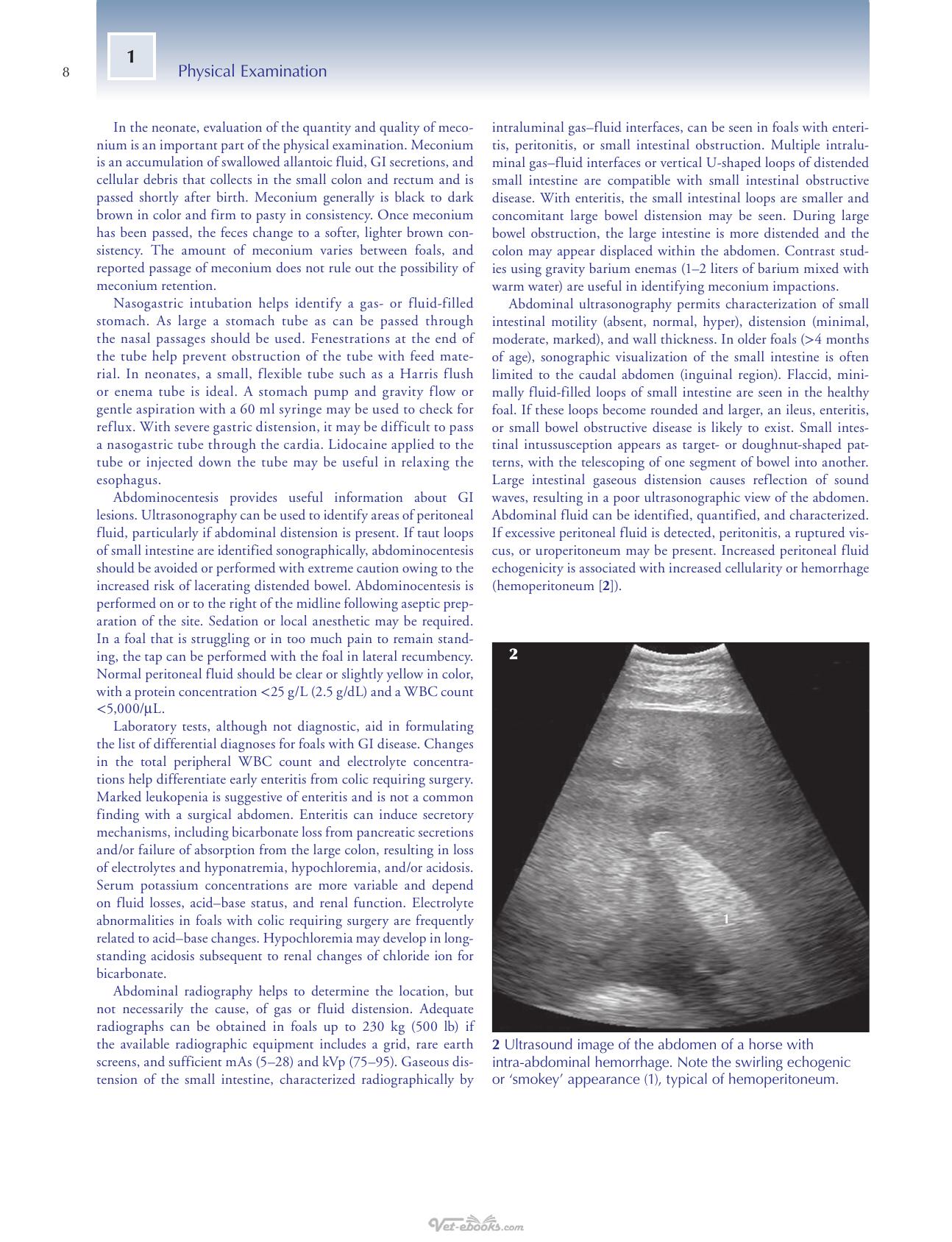 Equine Pediatric Medicine