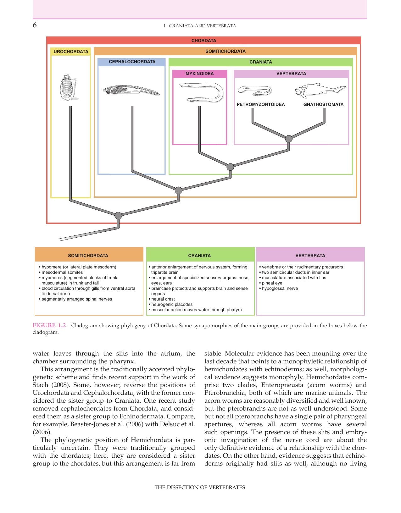 The Dissection Of Vertebrates 2Nd Edition