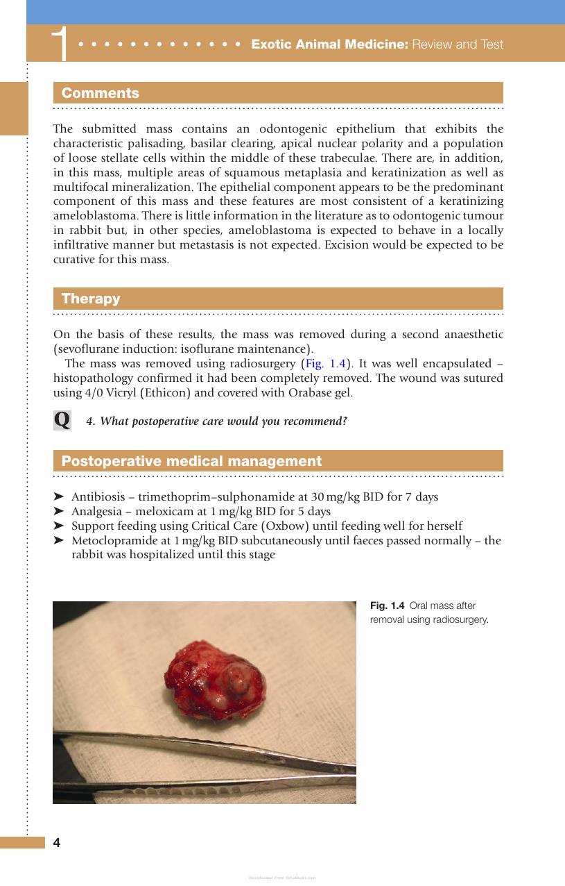 Exotic Animal Medicine Review And Test